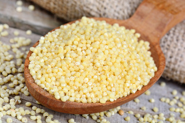 Millet seeds in a spoon