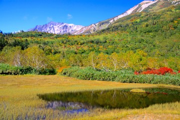 栂池自然園