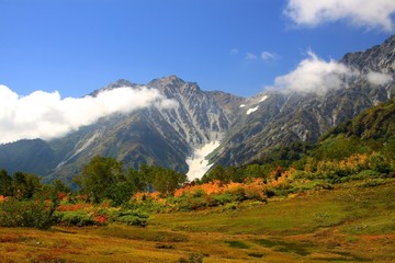 Obraz premium 栂池自然園