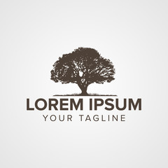 Obraz premium tree logo concept