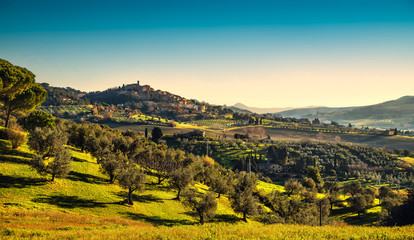 Fototapeta premium Wioska Casale Marittimo. Maremma. Toskania, Włochy