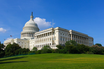 Obraz premium United States Capitol Building in Washington DC