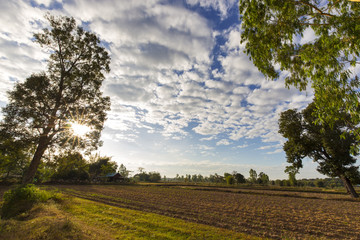 Fototapeta na wymiar The Art Countryside landscape clear cloud and sky 