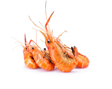 Prawns, Grilled shrimp isolated on white background