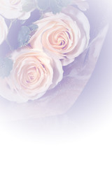 closeup roses bouquet