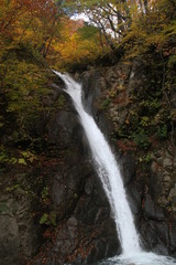 秋山郷周辺の滝