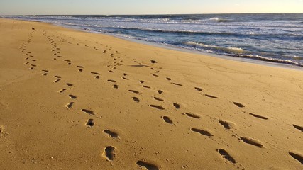 footprints in sand on coast 