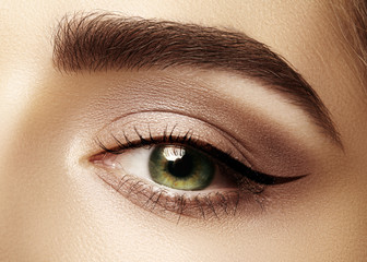 Perfect shape of eyebrows, brown eyeshadows and long eyelashes. Closeup macro shot of fashion smoky...