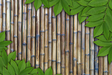 Leaves on  bamboo background, Leaves frame
