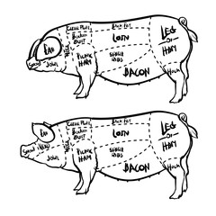 Pork cuts diagram and butchery, Butcher diagram vector illustration.