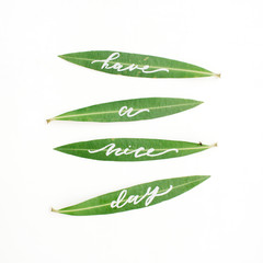 Calligraphic words "Have a nice day" written on green leaves. Flat lay, top view