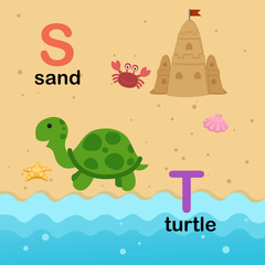 Alphabet Letter S-sand,T-turtle,illustration