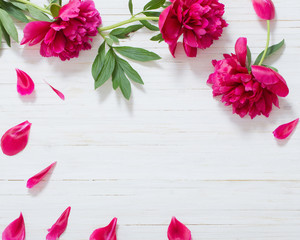 peonies on white wooden background