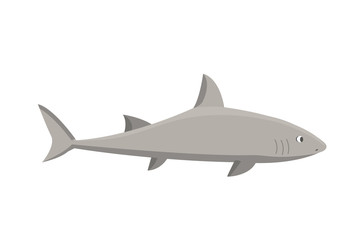 Vector shark character.