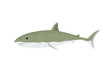 Fototapeta premium Vector shark character.