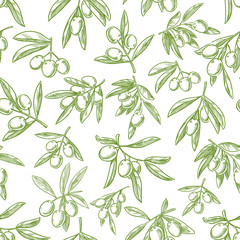 Fototapety  Olive fruit sketches seamless pattern background