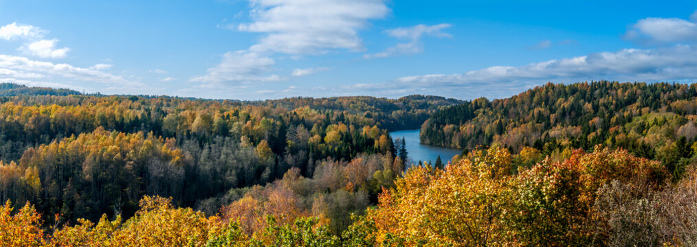 Panorama of autumn landscape with yellow hills, forest and river