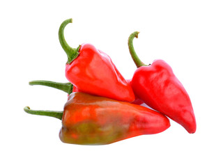 Red chili peppers on white background