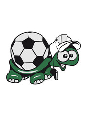Obraz premium Turtle football referee