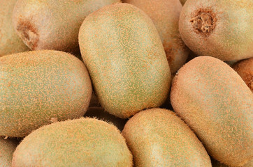 Green kiwi fruit (Actinidia deliciosa)