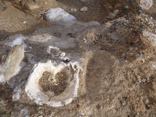 Naklejka premium skull and bones in an ancient excavation site