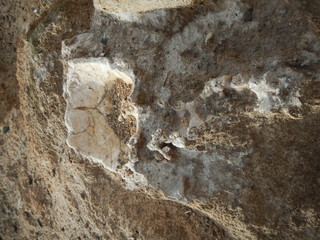 skull and bones in an ancient excavation site