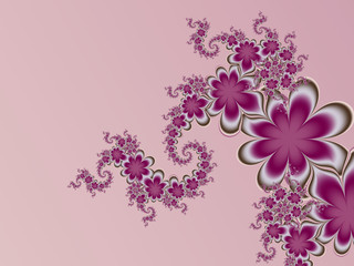 The composition of abstract flowers on pink background