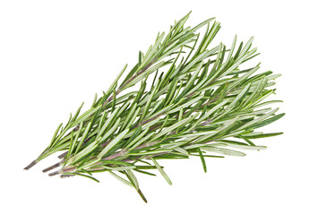 Rosemary isolated on a white background
