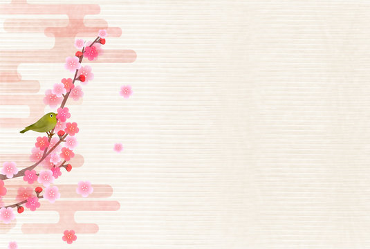 梅　春　花　背景