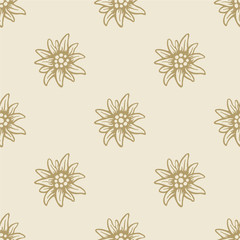 Edelweiss flower seamless pattern background texture - 132671102