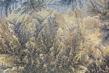 Naklejka premium Winter Frost Patterns on Window