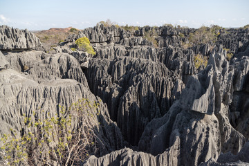 Fototapeta na wymiar View from Tsingy De Bemaraha area, Madagascar. Limestoen needles forest formed by vertcal and horisontal erosion. 