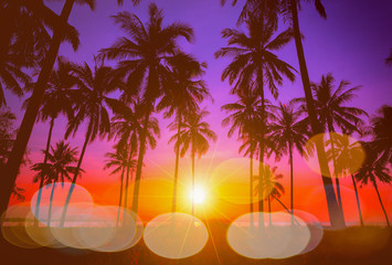 Silhouette coconut palm trees on beach at sunset.
