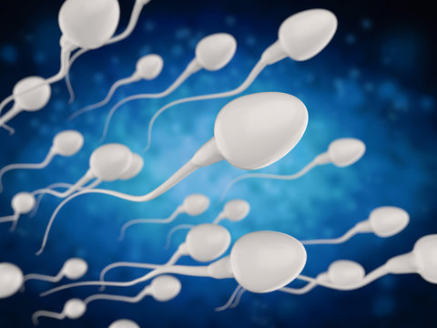 group of sperms