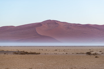 Sand dunes in the Namib desert at dawn, roadtrip in the wonderful Namib Naukluft National Park, travel destination in Namibia, Africa. Morning light, mist and fog.