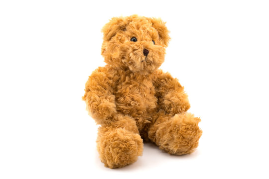 Cute teddy bear sitting