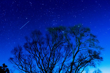 夜空　オリオン座