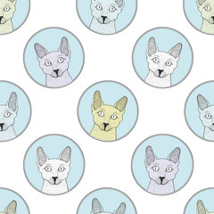 Vector Seamless cats pattern