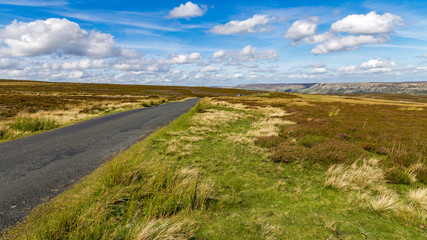 Fototapeta premium Yorkshire Dales between Castle Bolton and Grinton, North Yorkshi