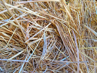 Natural texture of wheat straw