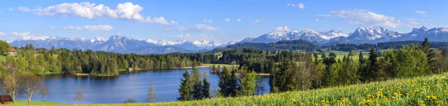 Fr&uuml;hling am Schwaltenweiher im Ostallg&auml;u