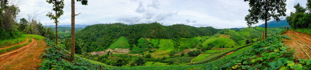 Fototapeta na wymiar Beautiful rice terraces at Ban Pa Pong Pieng, Mae chaem, Chaing