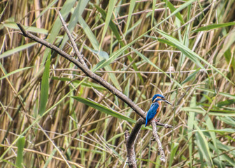500px Photo ID: 166551341