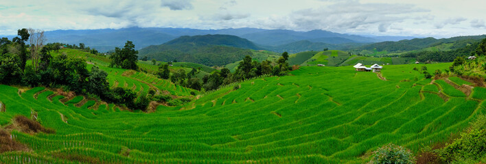 Beautiful rice terraces at Ban Pa Pong Pieng, Mae chaem, Chaing