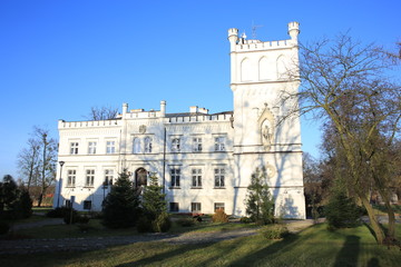 Fototapeta na wymiar Historic Mrozow Castle in Poland