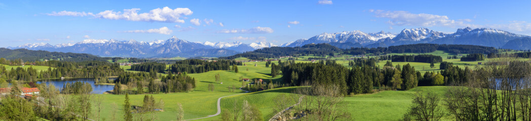 Fototapeta premium Frühlingshafte Natur am Schwaltenweiher im Allgäu