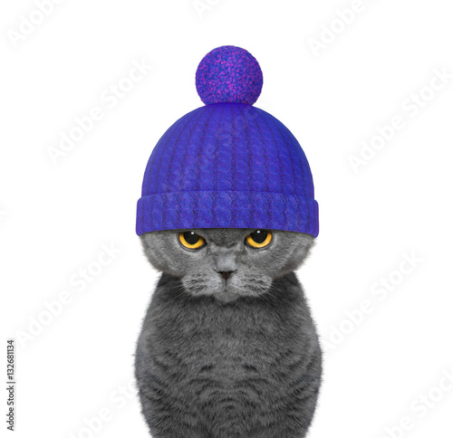 Cat wooly hat You searched for: cat in woolly hat! Etsy is the home to thousands of handmade, vintage, and one-of-a-kind products and gifts related to your search. No matter what you’re looking for or where you are in the world, our global marketplace of sellers can help you find unique and affordable options. Let’s get started!