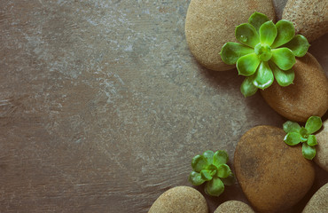 Spa background with stones and succulents