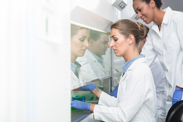 Forscherin und Labortechnikerin bei der wissenschaftlichen Arbeit