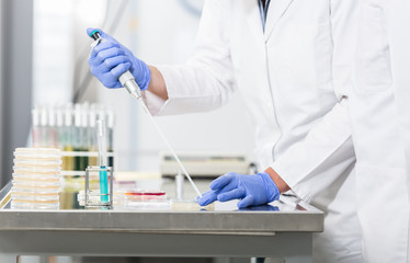 Forscher bereiten Proben für Experimente im Labor vor
